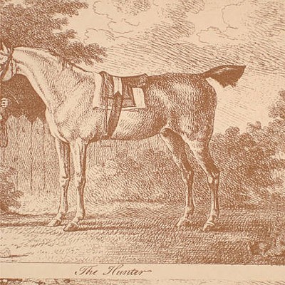 Фото Обои с рисунком - Крупный декор - стиль Английская классика - Бежевые - Купить в Интернет-магазине