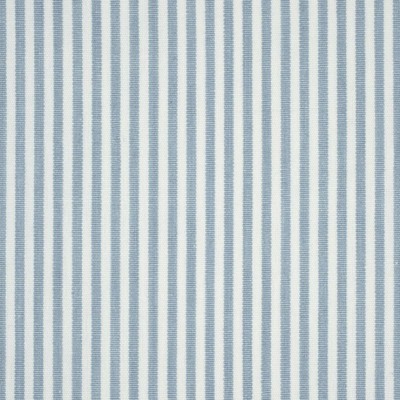 Фото Ткань портьерная с рисунком - Полоски - стиль Английский - Голубы - Купить в Интернет-магазине