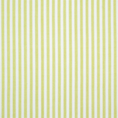 Фото Ткань портьерная с рисунком - Полоски - стиль Английский - Зеленые - Купить в Интернет-магазине