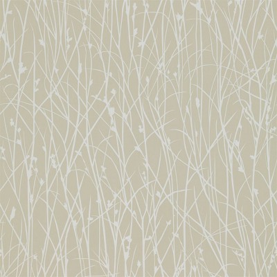 Фото Обои с рисунком - Растение - стиль Современных дизайнеров - Светло-коричневые - Купить в Интернет-магазине