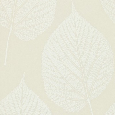 Фото Обои с рисунком - Крупный декор - стиль Современный - Кремовые - Купить в Интернет-магазине