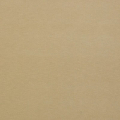 Фото Ткань портьерная однотонная - Бархат - стиль Современный - Бежевый - Купить в Интернет-магазине