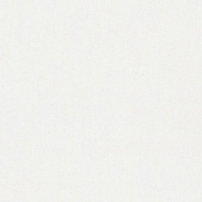 Фото Ткань портьерная однотонная - Текстурная ткань - стиль Американский - Белая - Купить в Интернет-магазине