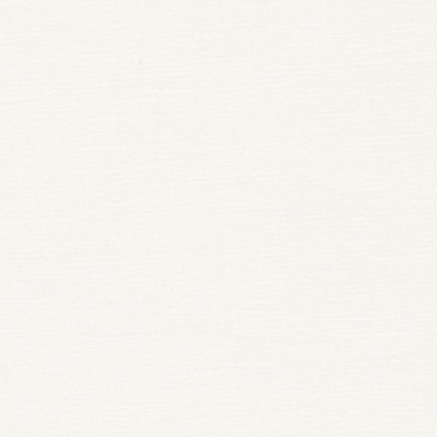 Фото Ткань портьерная однотонная - Текстурная ткань - стиль Американский - Белая - Купить в Интернет-магазине