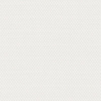 Фото Ткань портьерная однотонная - Текстурная ткань - стиль Американский - Белая - Купить в Интернет-магазине