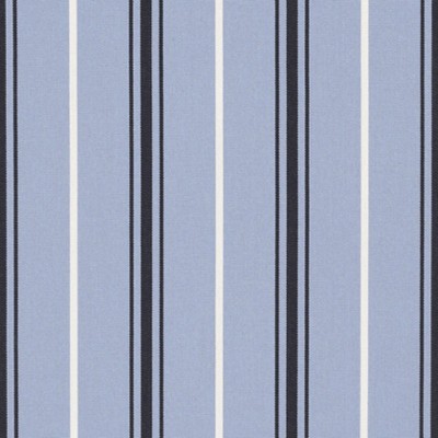 Фото Ткань портьерная с рисунком - Полоски - стиль Американский - Голубы - Купить в Интернет-магазине