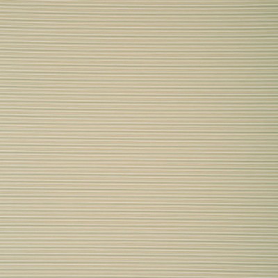 Фото Ткань портьерная с рисунком - Полоски - стиль Английский - Бежевые - Купить в Интернет-магазине