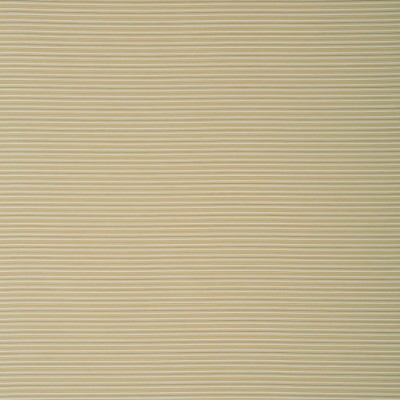 Фото Ткань портьерная с рисунком - Полоски - стиль Английский - Бежевые - Купить в Интернет-магазине