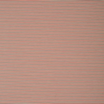 Фото Ткань портьерная с рисунком - Полоски - стиль Английский - Красные - Купить в Интернет-магазине