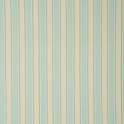 Фото Ткань портьерная с рисунком - Полоски - стиль Английский - Голубы - Купить в Интернет-магазине