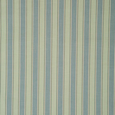 Фото Ткань портьерная с рисунком - Полоски - стиль Английский - Голубы - Купить в Интернет-магазине