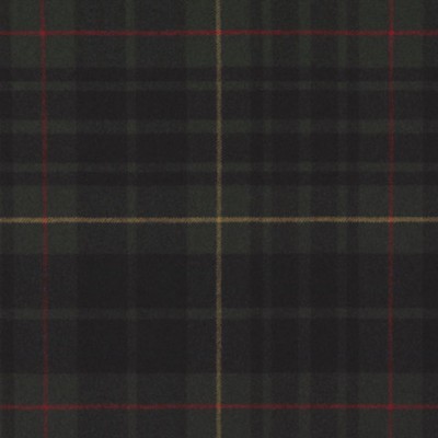 Фото Ткань портьерная с рисунком - Клетка - стиль Американский - Зеленая - Купить в Интернет-магазине