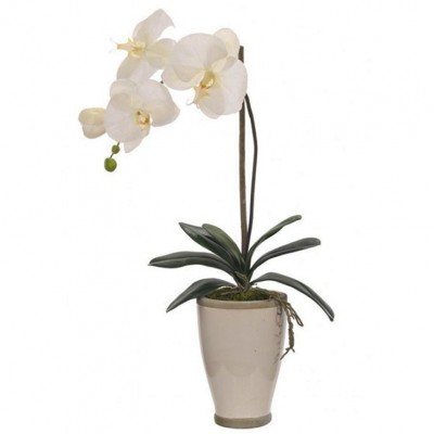 Фото Цветы - стиль Современный - Шёлковые - Купить в Интернет-магазине