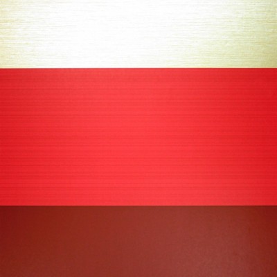 Фото Обои с рисунком - Полоски - стиль Современных дизайнеров - Красные - Купить в Интернет-магазине