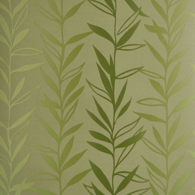 Фото Обои с рисунком - Растение - стиль Современных дизайнеров - Зеленые - Купить в Интернет-магазине