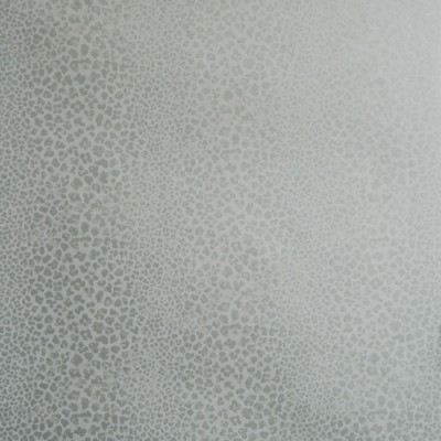 Фото Обои с рисунком - Орнамент - стиль Современных дизайнеров - Голубы - Купить в Интернет-магазине