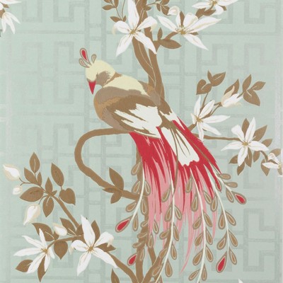 Фото Обои с рисунком - Анималистический принт - стиль Современных дизайнеров - Голубы - Купить в Интернет-магазине