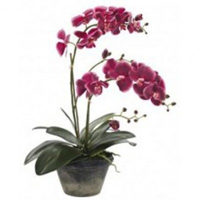 Фото Цветы - стиль Современный - Керамические - Купить в Интернет-магазине