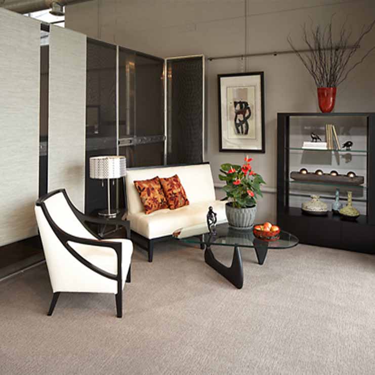 Фото Ковровое покрытие - стиль Современные - Купить в Интернет-магазине