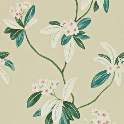 Фото Обои с рисунком - Орнамент - стиль Английская классика - Серые - Купить в Интернет-магазине