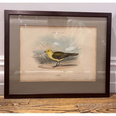 Фото Гравюра - стиль Классический - Картонная - В наличии - Купить в Интернет-магазине