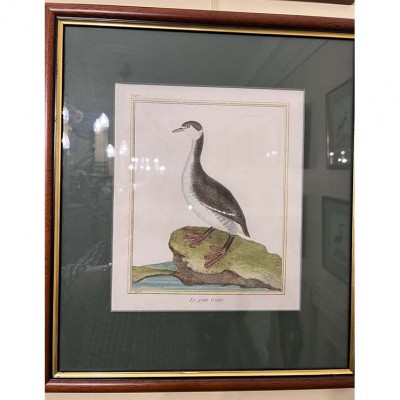 Фото Гравюра - стиль Классический - Картонная - В наличии - Купить в Интернет-магазине