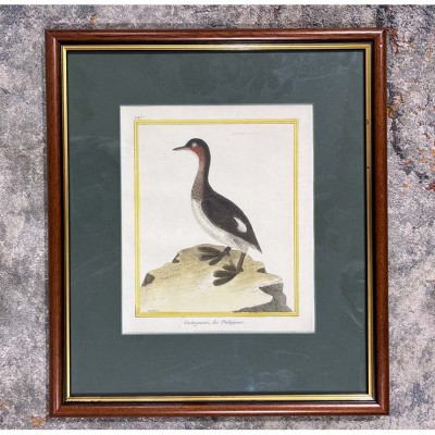 Фото Гравюра - стиль Классический - Картонная - В наличии - Купить в Интернет-магазине