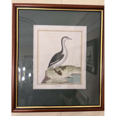 Фото Гравюра - стиль Классический - Картонная - В наличии - Купить в Интернет-магазине