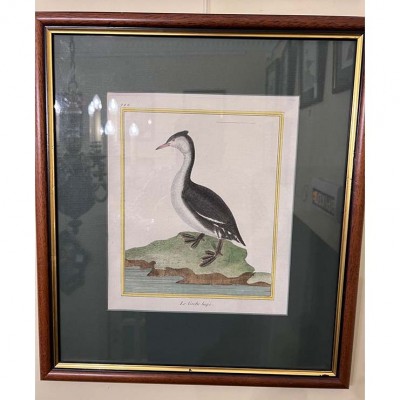 Фото Гравюра - стиль Классический - Картонная - В наличии - Купить в Интернет-магазине