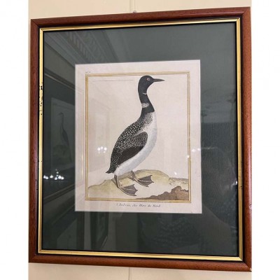 Фото Гравюра - стиль Классический - Картонная - В наличии - Купить в Интернет-магазине