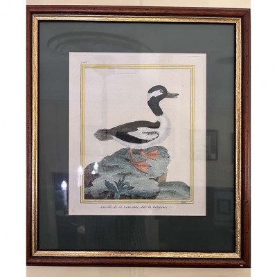 Фото Гравюра - стиль Классический - Картонная - В наличии - Купить в Интернет-магазине