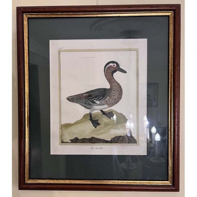 Фото Гравюра - стиль Классический - Картонная - В наличии - Купить в Интернет-магазине