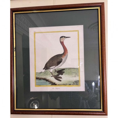 Фото Гравюра - стиль Классический - Картонная - В наличии - Купить в Интернет-магазине