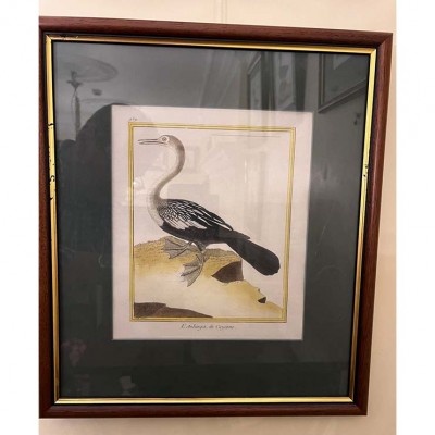 Фото Гравюра - стиль Классический - Картонная - В наличии - Купить в Интернет-магазине