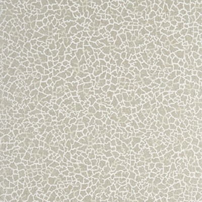 Фото Обои с рисунком - Абстракция - стиль Современный - Серые - Купить в Интернет-магазине