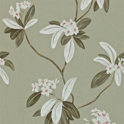 Фото Обои с рисунком - Орнамент - стиль Английская классика - Серебристые - Купить в Интернет-магазине