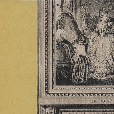 Фото Обои с рисунком - Крупный декор - стиль Английская классика - Желтые - Купить в Интернет-магазине