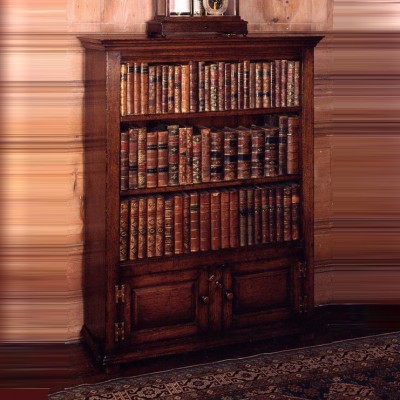 Фото Шкаф книжный/библиотека - стиль Тюдор и готика - Для кабинета - Купить в Интернет-магазине