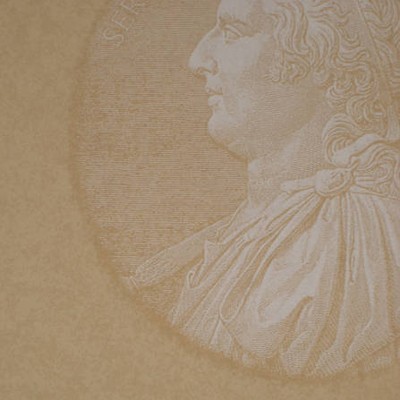 Фото Обои с рисунком - Крупный декор - стиль Английская классика - Коричневые - Купить в Интернет-магазине