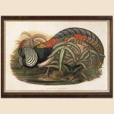 Фото Картина - стиль Классический - Картонная - Купить в Интернет-магазине