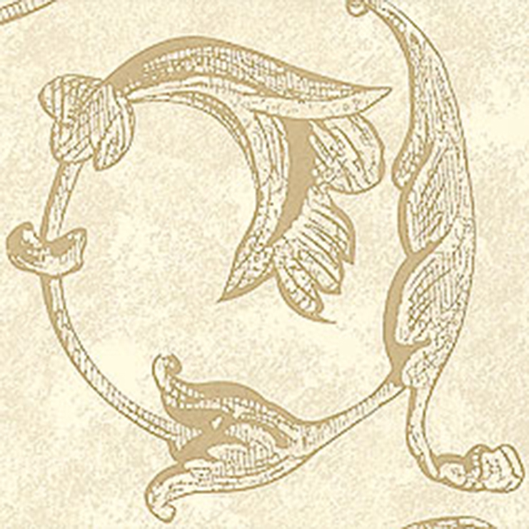 Фото Обои с рисунком - Завиток - стиль Американский - Кремовые - Купить в Интернет-магазине