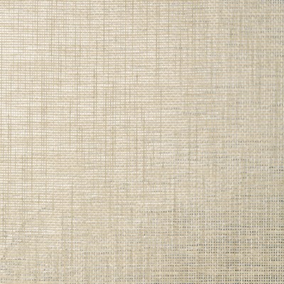 Фото Обои однотонные - Гладкие обои - стиль Американский - Серебристые - Купить в Интернет-магазине