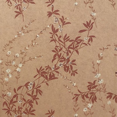 Фото Обои с рисунком - Растение - стиль Американский - Коричневые - Купить в Интернет-магазине