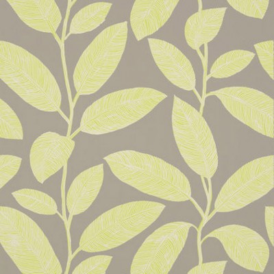 Фото Обои с рисунком - Растение - стиль Американский - Серые - Купить в Интернет-магазине