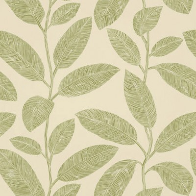 Фото Обои с рисунком - Растение - стиль Американский - Кремовые - Купить в Интернет-магазине