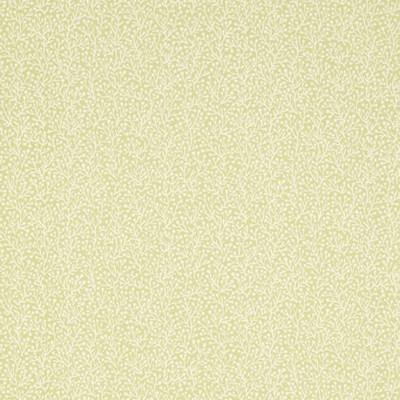 Фото Обои с рисунком - Мелкий принт - стиль Американский - Зеленые - Купить в Интернет-магазине