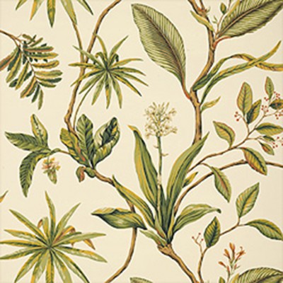 Фото Обои с рисунком - Растение - стиль Американский - Кремовые - Купить в Интернет-магазине
