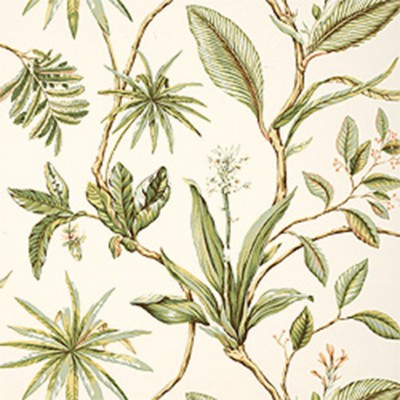 Фото Обои с рисунком - Растение - стиль Американский - Кремовые - Купить в Интернет-магазине