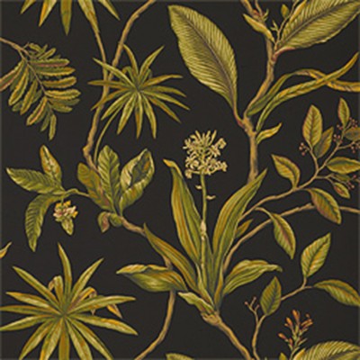 Фото Обои с рисунком - Растение - стиль Американский - Черные - Купить в Интернет-магазине