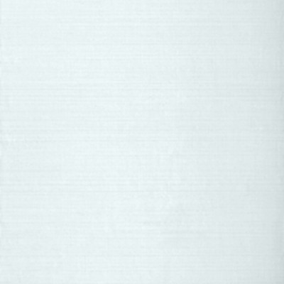 Фото Обои тканевые - Текстурные обои - стиль Американский - Голубы - Купить в Интернет-магазине